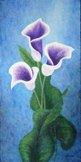 Arums mauves