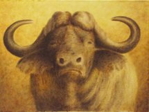 Buffle