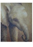 B&eacute;b&eacute; &eacute;l&eacute;phant