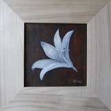 Lys 3