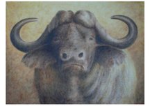 Buffle