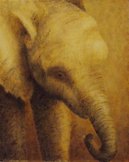 elephanteau