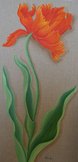 tulipe