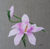 magnolia