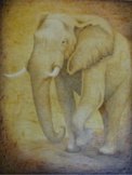 El&eacute;phant