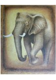 Grand &eacute;l&eacute;phant